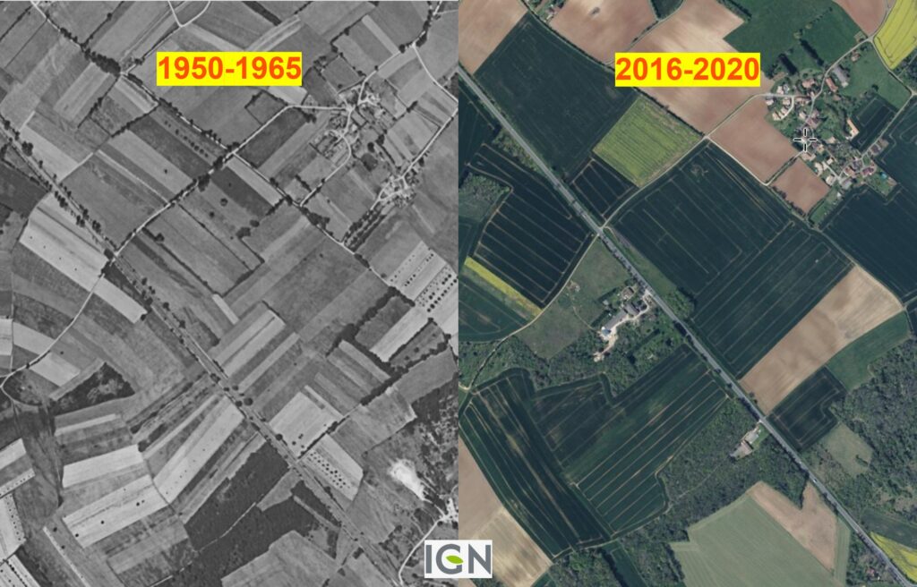 Historique parcellaire origine hétérogénéité